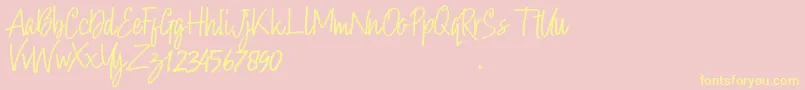 Hollybear Font – Yellow Fonts on Pink Background