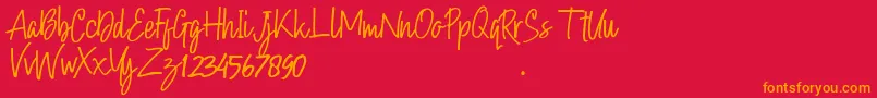 Hollybear Font – Orange Fonts on Red Background