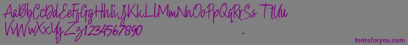 Hollybear Font – Purple Fonts on Gray Background