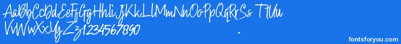 Hollybear Font – White Fonts on Blue Background