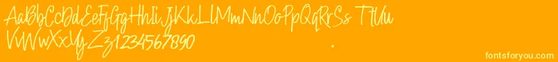 Hollybear-Schriftart – Gelbe Schriften auf orangefarbenem Hintergrund