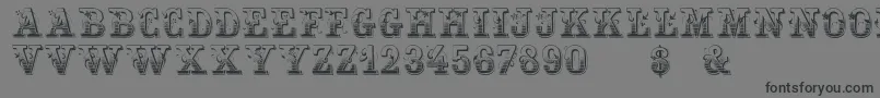 Holtzschue Regular Font – Black Fonts on Gray Background