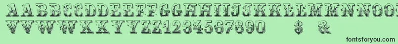 Holtzschue Regular Font – Black Fonts on Green Background