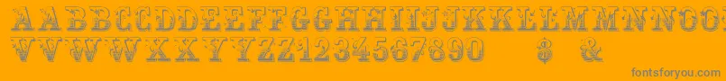 Holtzschue Regular-Schriftart – Graue Schriften auf orangefarbenem Hintergrund