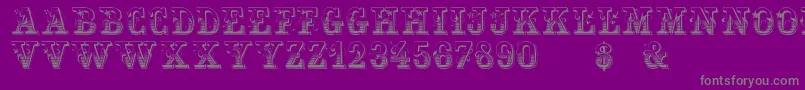 Holtzschue Regular-Schriftart – Graue Schriften auf violettem Hintergrund