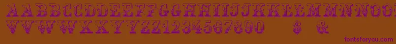 Holtzschue Regular Font – Purple Fonts on Brown Background