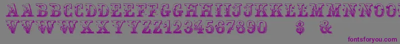 Holtzschue Regular Font – Purple Fonts on Gray Background