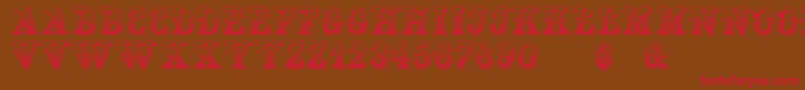Holtzschue Regular Font – Red Fonts on Brown Background