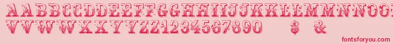 Holtzschue Regular Font – Red Fonts on Pink Background