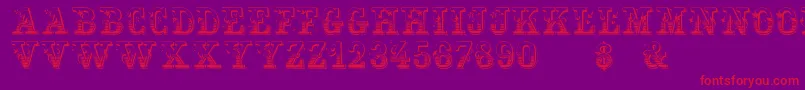 Holtzschue Regular Font – Red Fonts on Purple Background