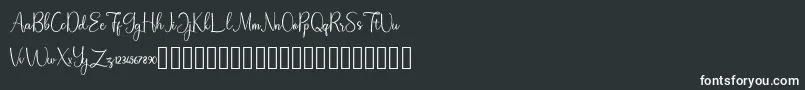 Шрифт Homegarden Demo – белые шрифты на чёрном фоне