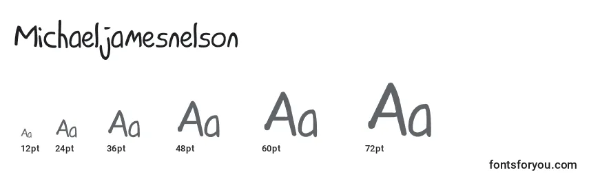 Michaeljamesnelson Font Sizes