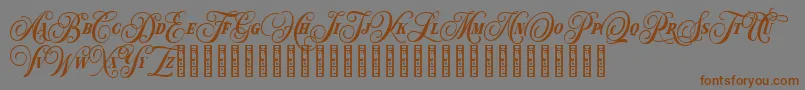 Hondurhas Demo Font – Brown Fonts on Gray Background