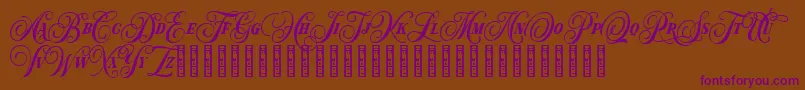 Hondurhas Demo Font – Purple Fonts on Brown Background