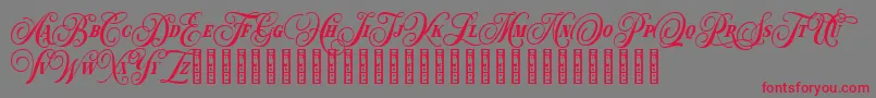 Hondurhas Demo Font – Red Fonts on Gray Background