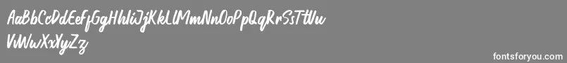 Honest demo-Schriftart – Weiße Schriften auf grauem Hintergrund