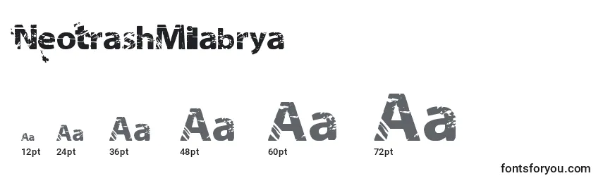 Размеры шрифта NeotrashMilabrya