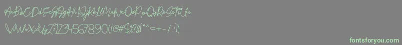 Honestydemo-Schriftart – Grüne Schriften auf grauem Hintergrund