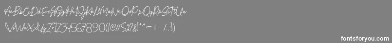 Honestydemo Font – White Fonts on Gray Background