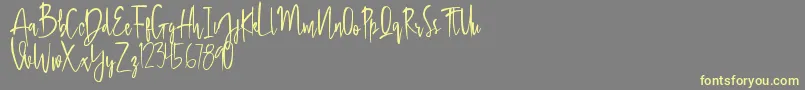 Honey Lemon-Schriftart – Gelbe Schriften auf grauem Hintergrund