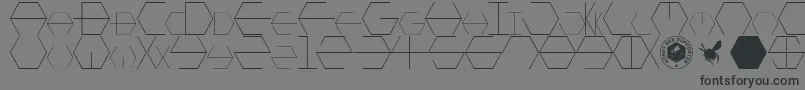 HONEYCOMBED-Schriftart – Schwarze Schriften auf grauem Hintergrund
