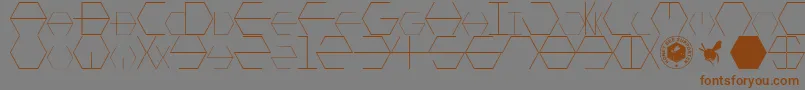 HONEYCOMBED-Schriftart – Braune Schriften auf grauem Hintergrund