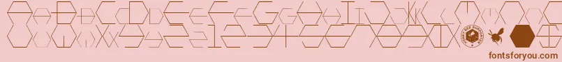 Fonte HONEYCOMBED – fontes marrons em um fundo rosa