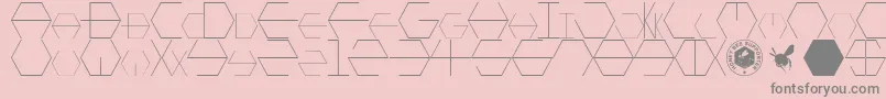 HONEYCOMBED Font – Gray Fonts on Pink Background
