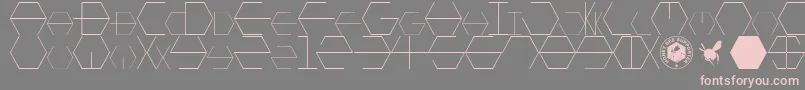 HONEYCOMBED Font – Pink Fonts on Gray Background