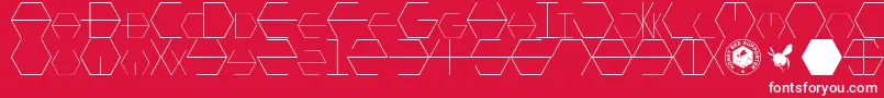 HONEYCOMBED Font – White Fonts on Red Background