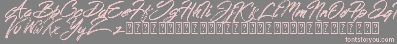 Шрифт Hong Kong Script Brush – розовые шрифты на сером фоне