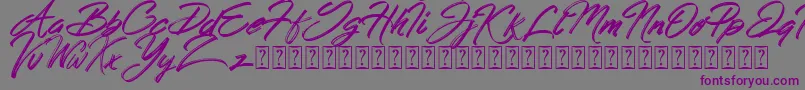Hong Kong Script Brush-fontti – violetit fontit harmaalla taustalla