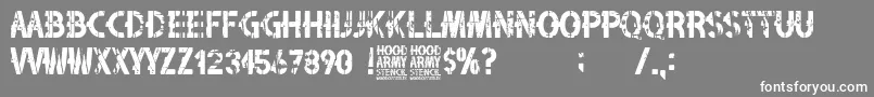 Czcionka Hood Army Stencil – białe czcionki na szarym tle