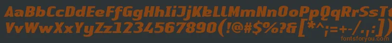 Czcionka LinotypeAuthenticSansBlackitalic – brązowe czcionki na czarnym tle