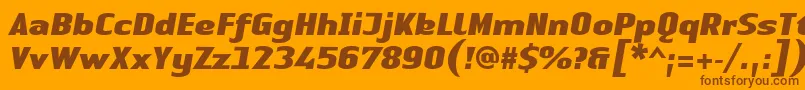 LinotypeAuthenticSansBlackitalic Font – Brown Fonts on Orange Background