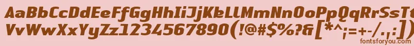 LinotypeAuthenticSansBlackitalic Font – Brown Fonts on Pink Background