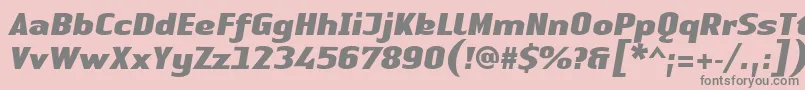 LinotypeAuthenticSansBlackitalic Font – Gray Fonts on Pink Background