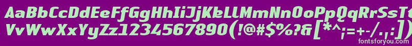 LinotypeAuthenticSansBlackitalic Font – Green Fonts on Purple Background