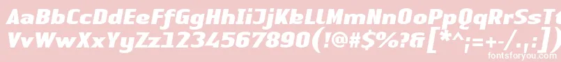 LinotypeAuthenticSansBlackitalic Font – White Fonts on Pink Background
