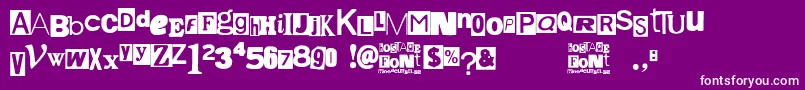 Hostage Font – White Fonts on Purple Background