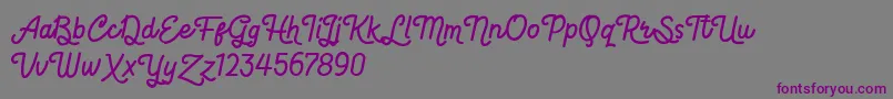 Hot Restaurant Font – Purple Fonts on Gray Background