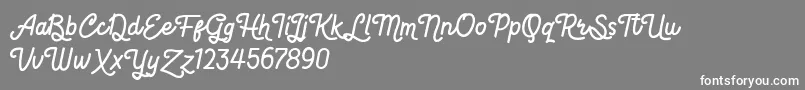 Hot Restaurant Font – White Fonts on Gray Background