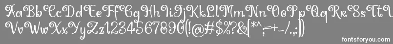フォントHoty Font by 7NTypes – 灰色の背景に白い文字