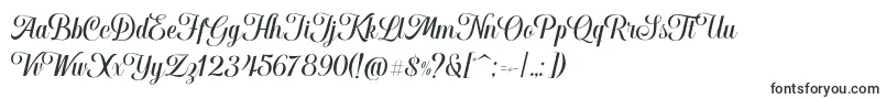 Hougbon Script Font – Monogram Fonts