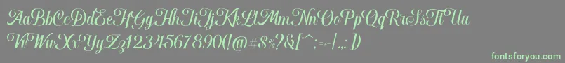 Hougbon Script Font – Green Fonts on Gray Background