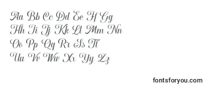Обзор шрифта Hougbon Script