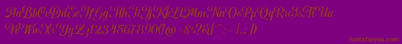 Hougbon Script Font – Brown Fonts on Purple Background