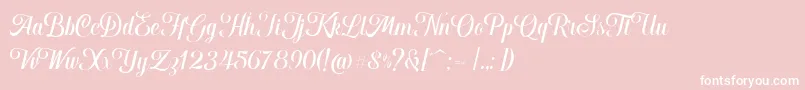 Hougbon Script Font – White Fonts on Pink Background