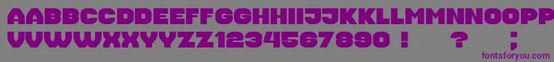 Housebreak Extended Font – Purple Fonts on Gray Background