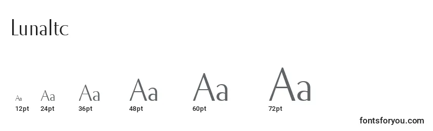 LunaItc Font Sizes